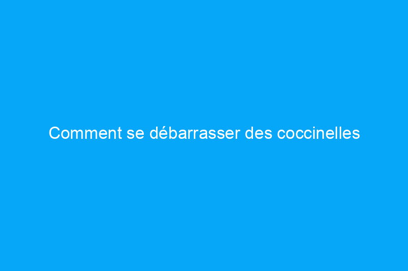 Comment se débarrasser des coccinelles