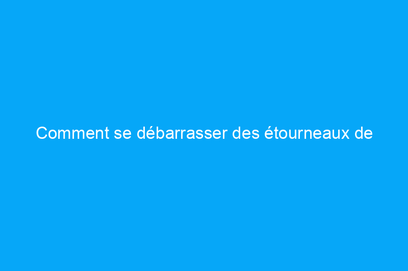 Comment se débarrasser des étourneaux de manière efficace et humaine