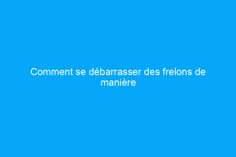 Comment se débarrasser des frelons de manière sûre et efficace