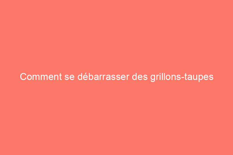 Comment se débarrasser des grillons-taupes