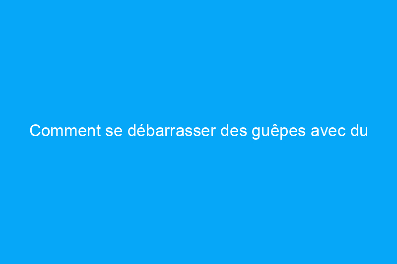 Comment se débarrasser des guêpes avec du vinaigre