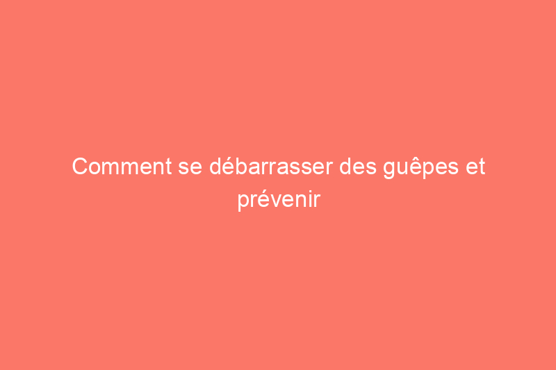 Comment se débarrasser des guêpes et prévenir la formation de futurs nids