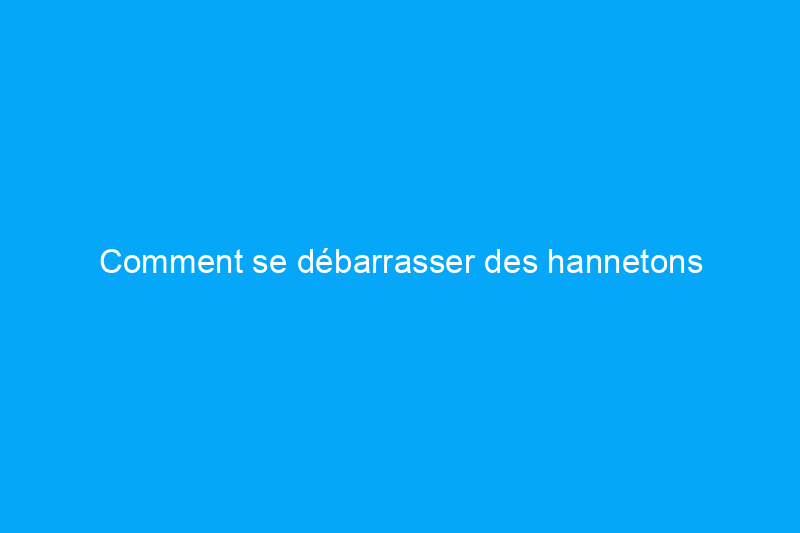 Comment se débarrasser des hannetons