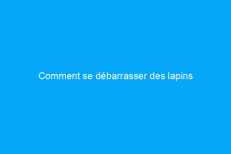 Comment se débarrasser des lapins