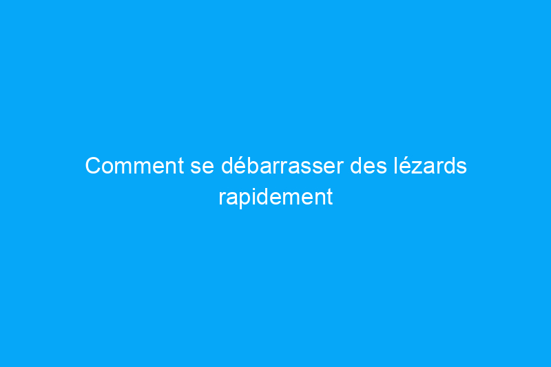 Comment se débarrasser des lézards rapidement et sans cruauté