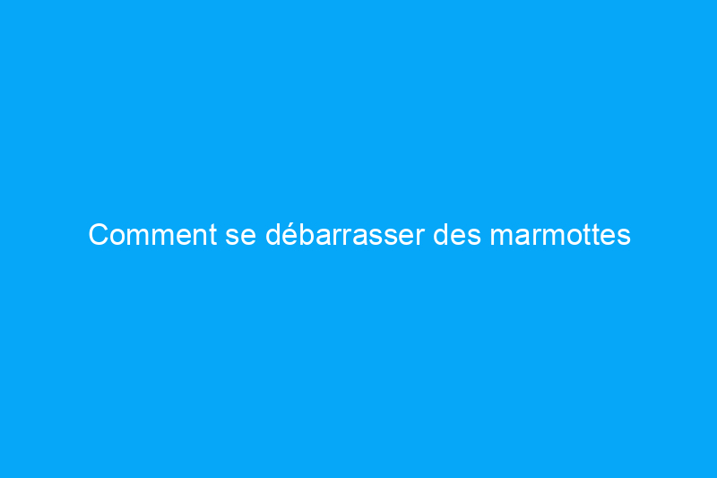 Comment se débarrasser des marmottes efficacement et humainement en 8 étapes