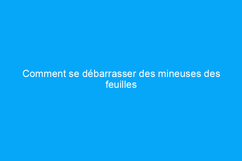 Comment se débarrasser des mineuses des feuilles de manière biologique