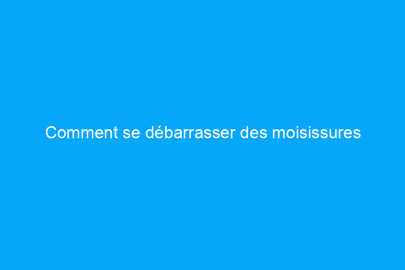 Comment se débarrasser des moisissures visqueuses dues aux vomissures de chien