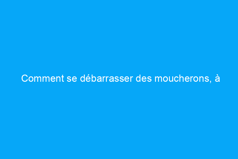 Comment se débarrasser des moucherons, à l’intérieur comme à l’extérieur