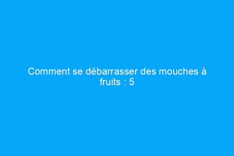 Comment se débarrasser des mouches à fruits : 5 pièges à faire soi-même