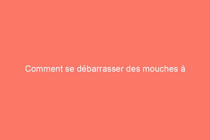 Comment se débarrasser des mouches à l'extérieur