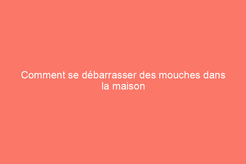 Comment se débarrasser des mouches dans la maison