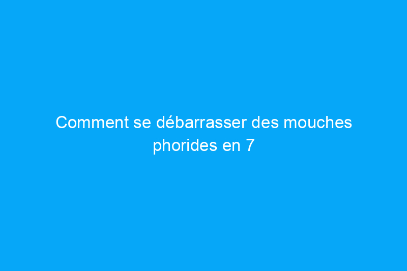 Comment se débarrasser des mouches phorides en 7 étapes, même si vous avez tout essayé