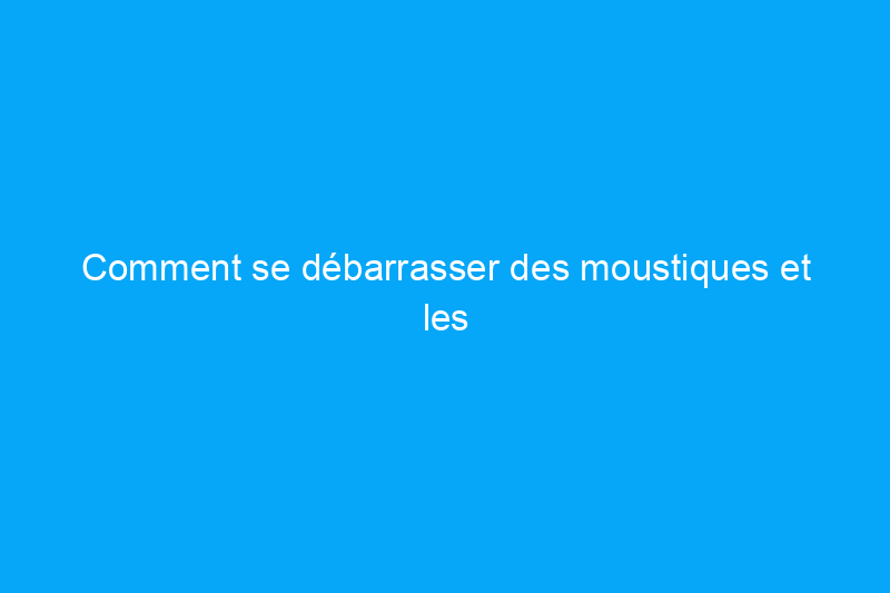 Comment se débarrasser des moustiques et les empêcher de revenir