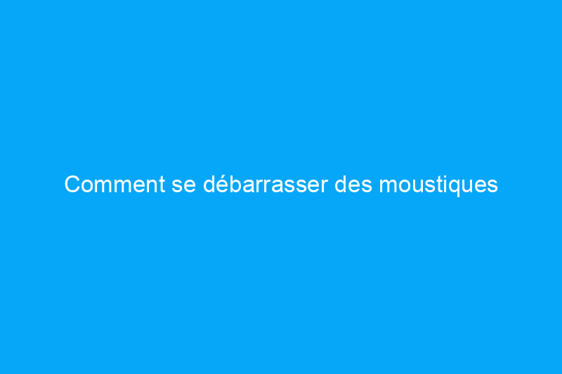 Comment se débarrasser des moustiques naturellement : nos 15 meilleurs conseils