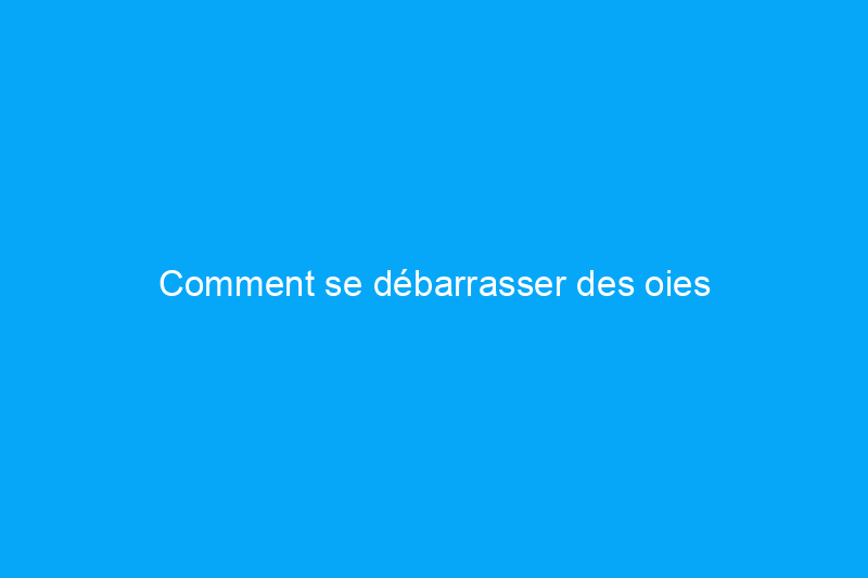 Comment se débarrasser des oies