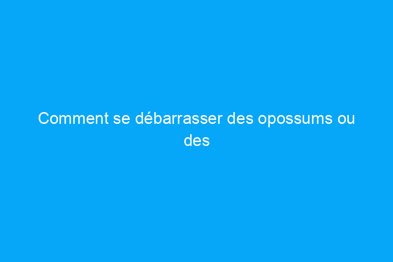 Comment se débarrasser des opossums ou des opossums dans votre maison ou votre jardin