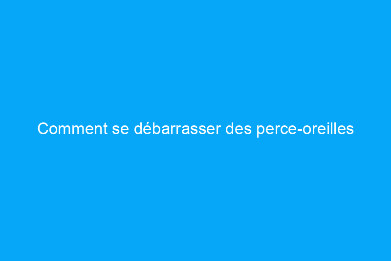 Comment se débarrasser des perce-oreilles