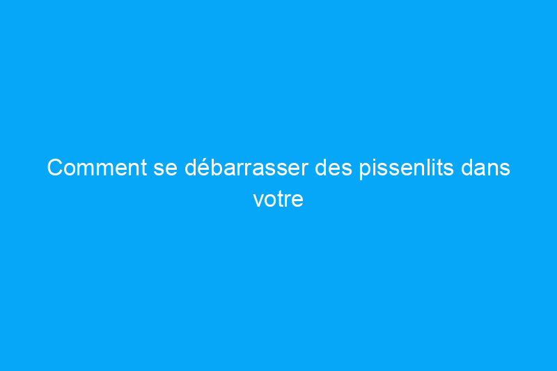 Comment se débarrasser des pissenlits dans votre jardin