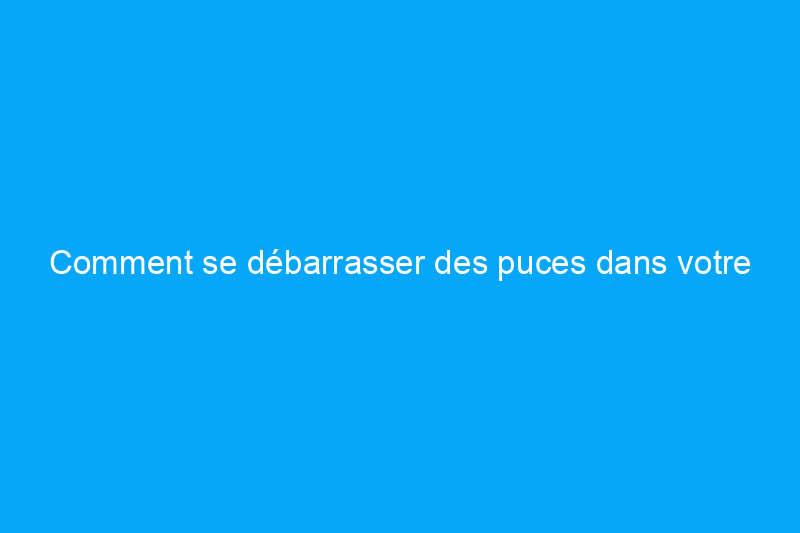 Comment se débarrasser des puces dans votre maison