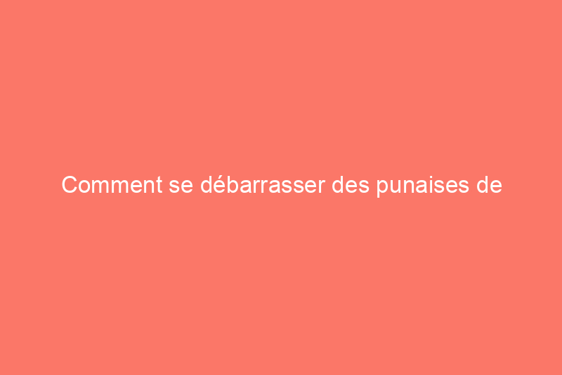 Comment se débarrasser des punaises de l'érable à Giguère