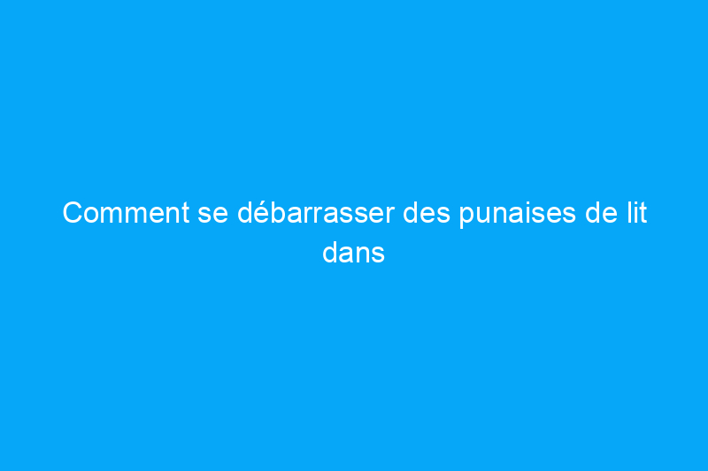 Comment se débarrasser des punaises de lit dans un matelas en 5 étapes