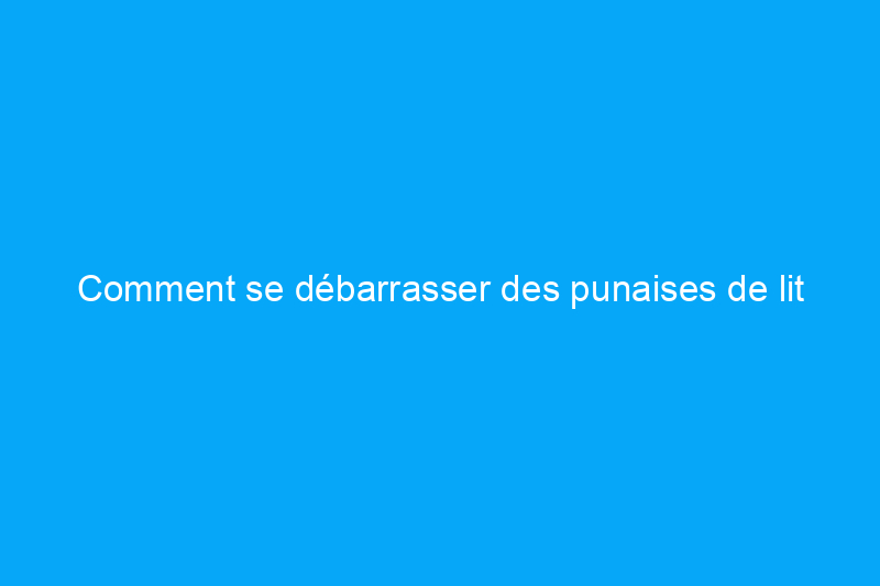 Comment se débarrasser des punaises de lit