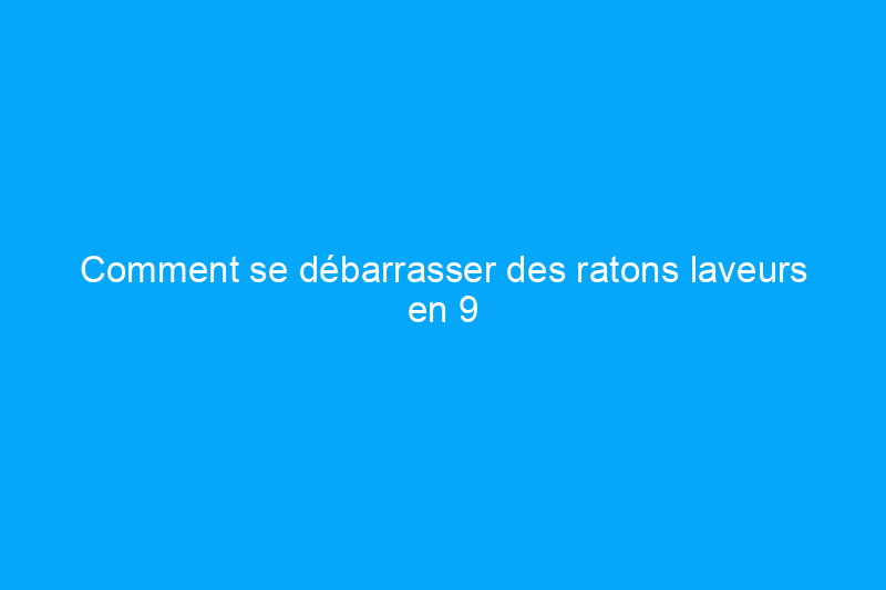 Comment se débarrasser des ratons laveurs en 9 étapes simples