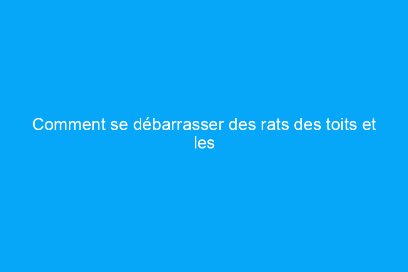 Comment se débarrasser des rats des toits et les empêcher de revenir