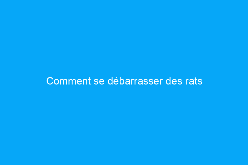 Comment se débarrasser des rats