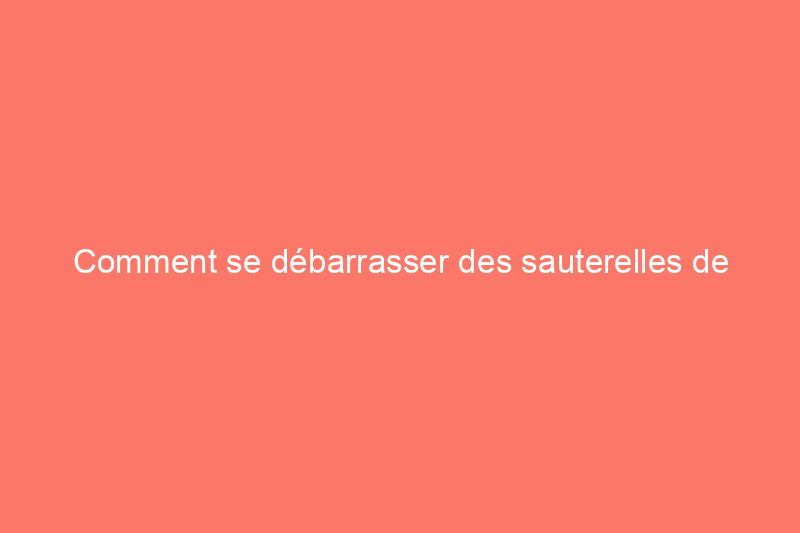 Comment se débarrasser des sauterelles de manière naturelle