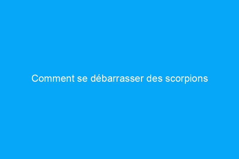 Comment se débarrasser des scorpions