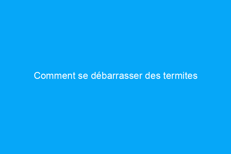 Comment se débarrasser des termites