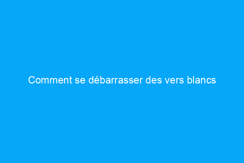 Comment se débarrasser des vers blancs