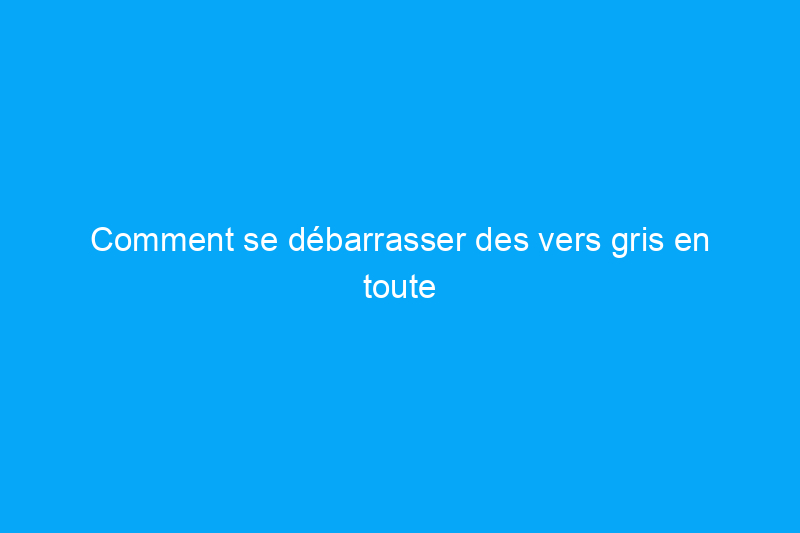 Comment se débarrasser des vers gris en toute sécurité : le remède se trouve probablement dans votre salle de bain en ce moment