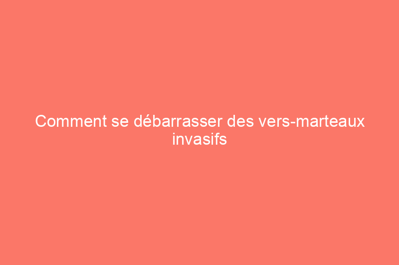 Comment se débarrasser des vers-marteaux invasifs