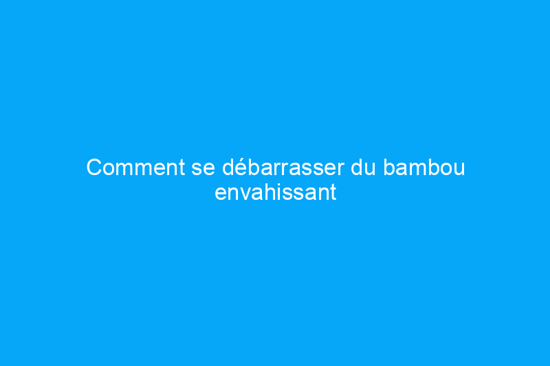 Comment se débarrasser du bambou envahissant