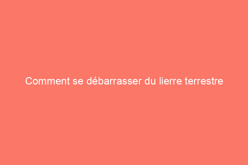 Comment se débarrasser du lierre terrestre