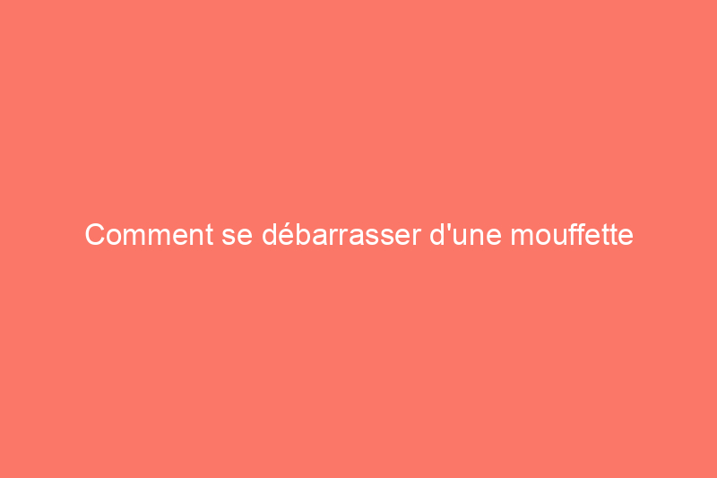 Comment se débarrasser d'une mouffette