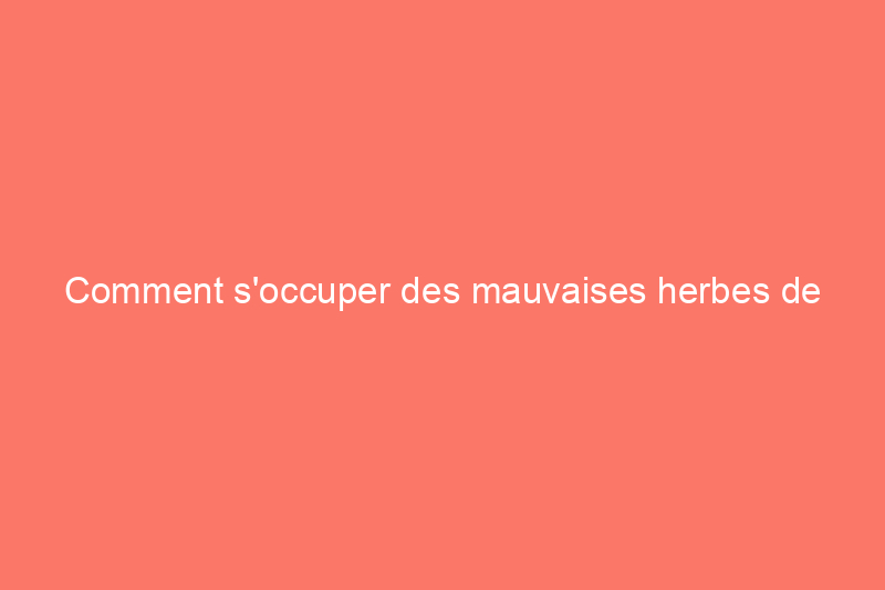 Comment s'occuper des mauvaises herbes de votre voisin : un cauchemar pour l'entretien de la pelouse ou une horreur ennuyeuse ?