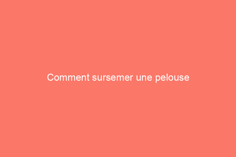 Comment sursemer une pelouse