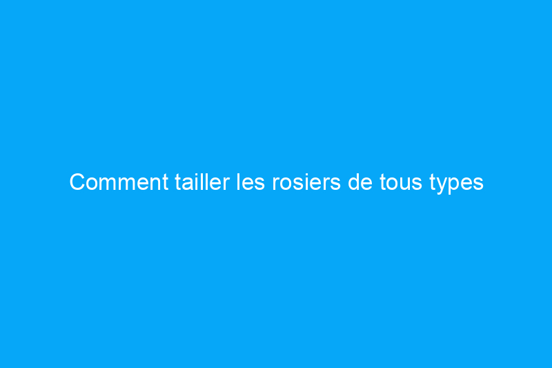 Comment tailler les rosiers de tous types