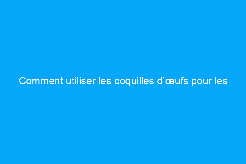 Comment utiliser les coquilles d’œufs pour les plantes (dans le jardin ou en pots)