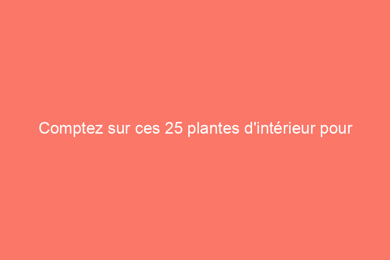 Comptez sur ces 25 plantes d'intérieur pour une couleur facile toute l'année