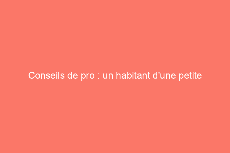 Conseils de pro : un habitant d'une petite maison partage 7 leçons apprises