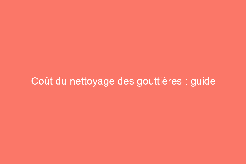 Coût du nettoyage des gouttières : guide budgétaire pour 2024