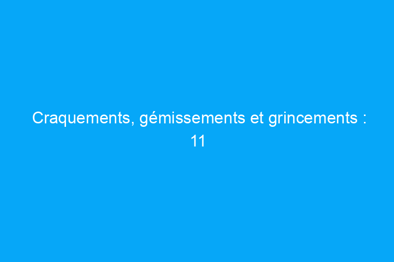 Craquements, gémissements et grincements : 11 bruits domestiques effrayants qui pourraient causer des ennuis aux propriétaires