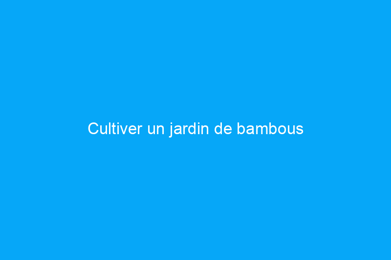 Cultiver un jardin de bambous