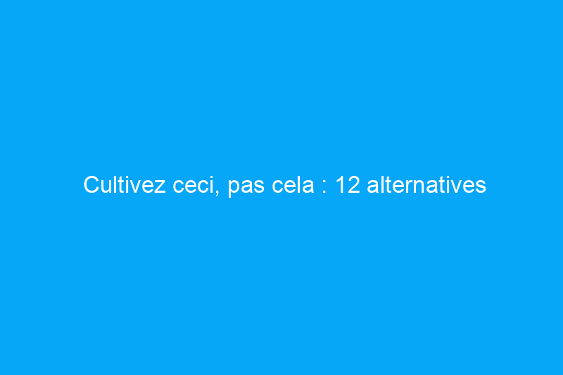 Cultivez ceci, pas cela : 12 alternatives indigènes aux plantes envahissantes