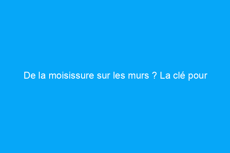 De la moisissure sur les murs ? La clé pour l'éliminer définitivement est de savoir où elle se cache